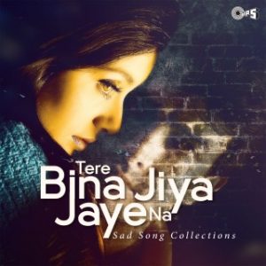 Tere Bina Jiya Jaaye Na - Sad Songs Collection 