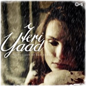 Teri Yaad -Collection of sad songs